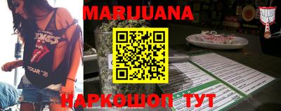 гидра Новозыбков