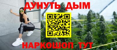 гидра Новозыбков