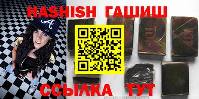гидра Новозыбков