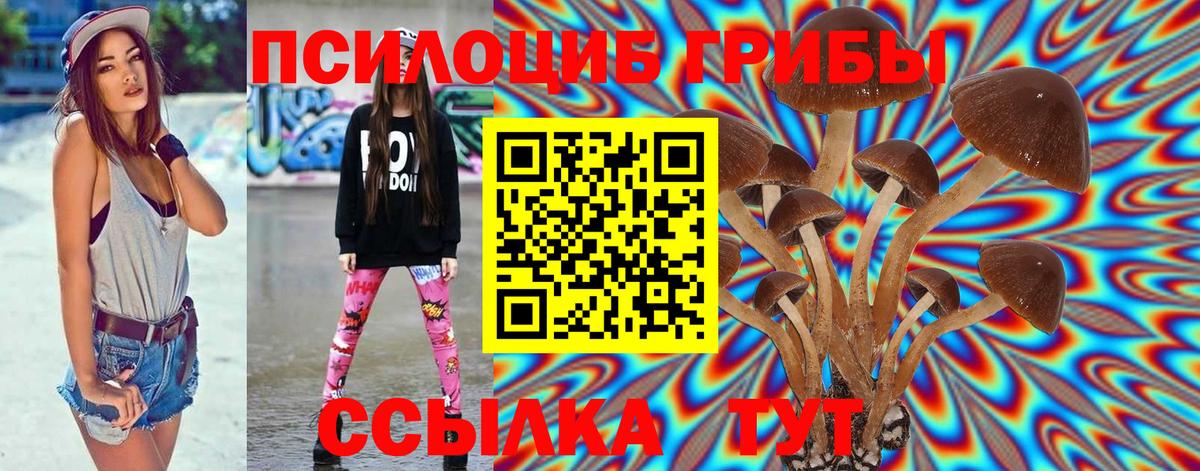 Галлюциногенные грибы Psilocybe Советская Гавань