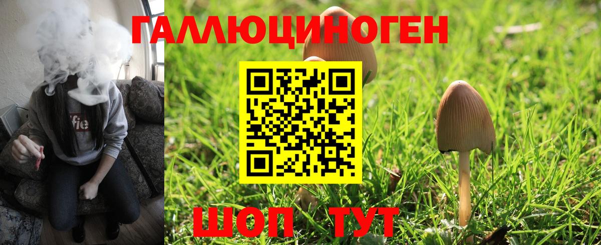 Советская Гавань  Псилоцибиновые грибы мухоморы  Вход с VPN  цены наркотик  Псилоцибиновые грибы Psilocybe 